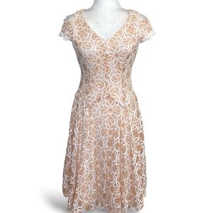 Floral Embroidered Sheer Nude Mesh Overlay Drop Waist A-Line Fit Flare Dress